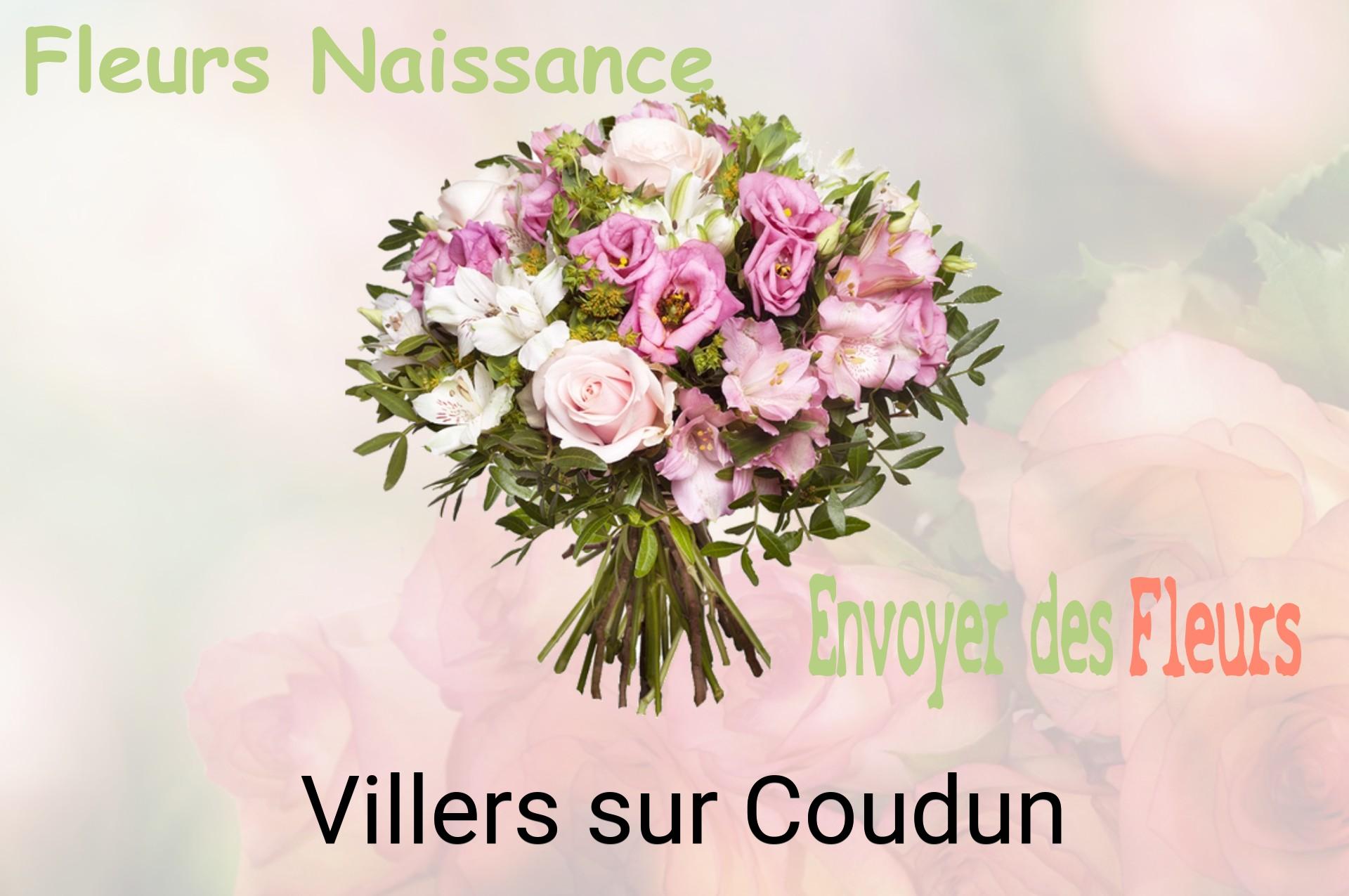 Bouquet de fleurs de naissance livré à Villers-sur-Coudun