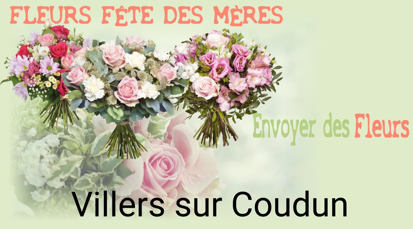 Bouquet de Fête des Mères livré à Villers-sur-Coudun